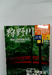 週刊にっぽん川紀行18　狩野川