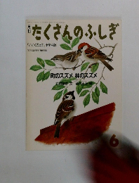 たくさんのふしぎ　6