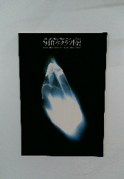 '94 日本クラフト展