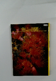 魚貝の図鑑
