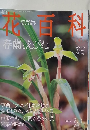 花百科　2005年2・3号