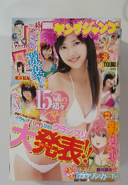 ヤングジャンプ　2010年11/18号
