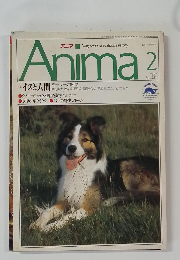 Anima　1991年2月号
