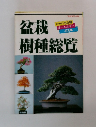盆栽　樹種総覧