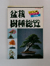 盆栽　樹種総覧