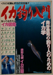 イカ釣り入門
