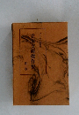 立川文庫傑作集 第二巻