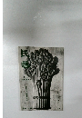 民熱　2012年6月号