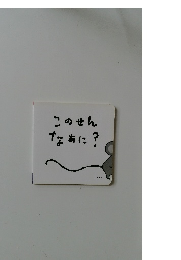 このせんなぁに?