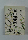 小説日蓮大聖人