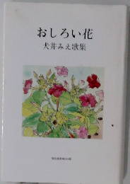 おしろい花