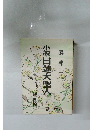 小説・日蓮大聖人　第30巻