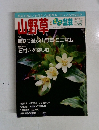 山野草　2014 夏  VOL. 105