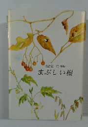 佐合五十鈴詩集　まぶしい根