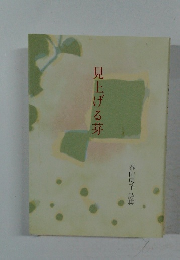 見上げる芽