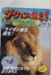 NHK ダーウィンが来た！ No.9