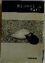 貸しボート十三号