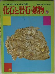 小学館の学習百科図鑑「29」化石と岩石 鉱物