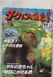 シーウィンが来た!　No. 19