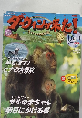 シーウィンが来た!　No. 19