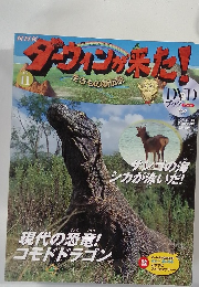 ダウンの朱た!　No.11