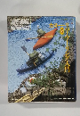 RIVER TOURING　カヌー・リバーツーリング入門 新版
