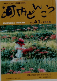 河内どんこう　No.41　1993