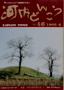 河内どんこう　No.46　1995年6月号