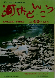 河内どんこう　NO. 40/1993