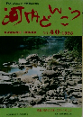 河内どんこう　NO. 40/1993
