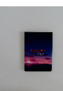 Fate/stay night  Complimentary Booklet