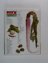 COOK　10　料理全集　けものと保存食