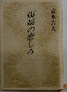  蝙蝠の悲しみ