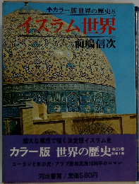 カラー版世界の歴史8  イスラム世界  前嶋信次