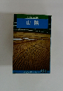 BLUE GUIDE  山陰  フルカイトブックス  141