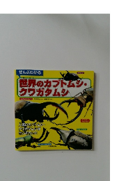 世界のカブトムシ・クワガタムシ