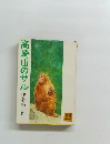 高崎山のサル 