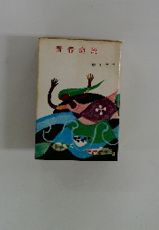 青春海流