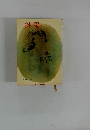 斜陽