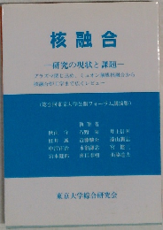 核融合  研究の現状と課題