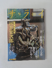 サライ　2011年2/5