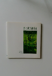 森と湖の散歩道