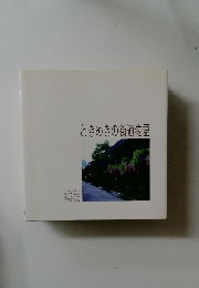 ときめきの街道物語