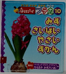 はなまるきっず プチカ　2003年10月号