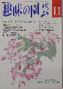 趣味の園芸　11月