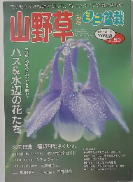 山野草とミニ盆栽　VOL.50