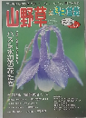 山野草とミニ盆栽　VOL.50