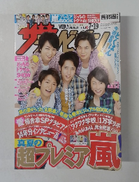 ザテレビジョン 首都圏　No28 2013年7/13-7/19