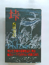 垰