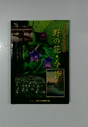 野の花・今昔